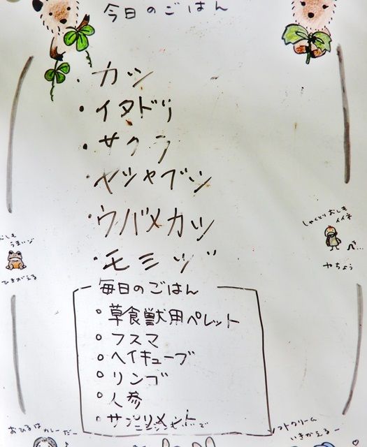 カモシカ園1
