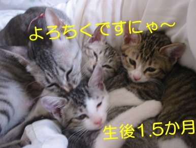 20121105_2.jpg
