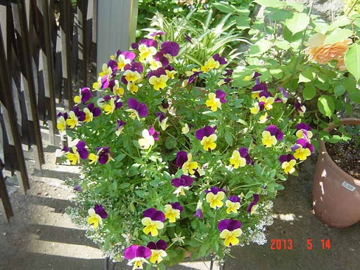 DSC01091.JPG