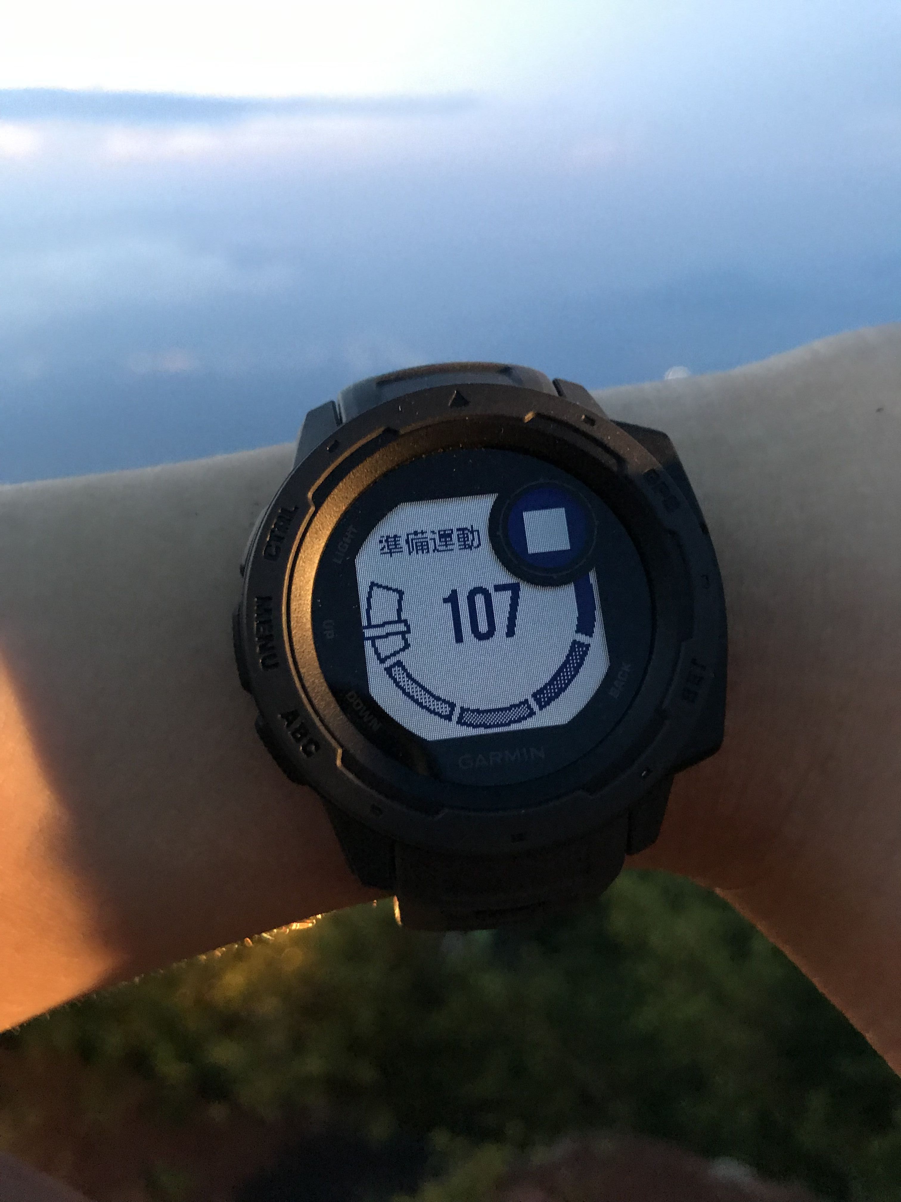 ガーミン,インスティンクト