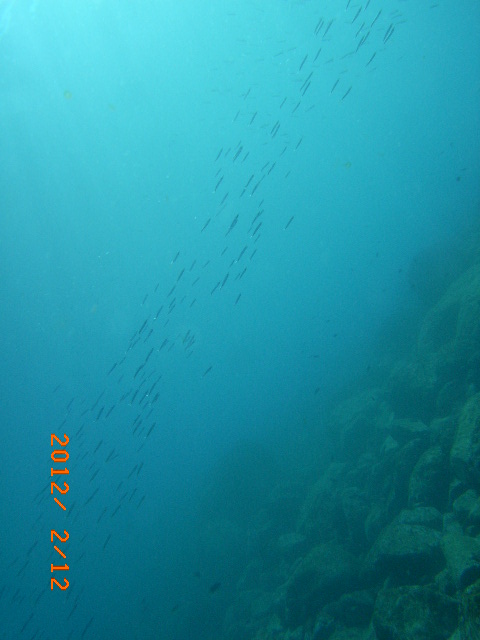IMAG0049.JPG