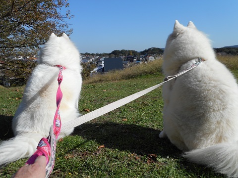 DSCN0574.JPG