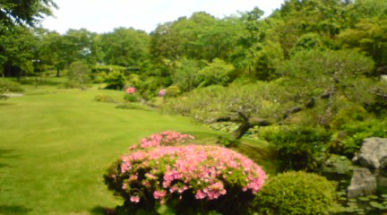 20120603133718.jpg