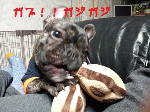 20130205_194520.jpg