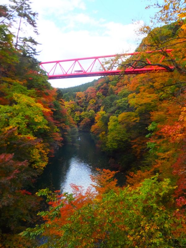 駒形峡 紅葉見頃スタート 群馬県猿ヶ京温泉 旅籠しんでん 山若女将の風に吹かれて 楽天ブログ