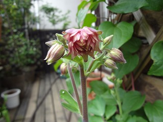 DSC03869.jpg