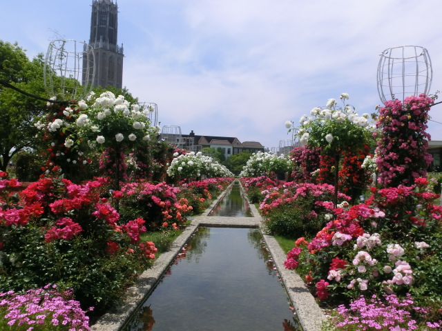 CIMG0954.JPG
