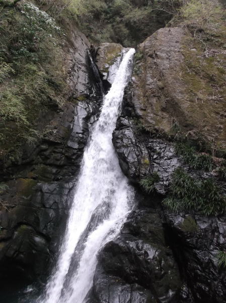 0326m.jpg