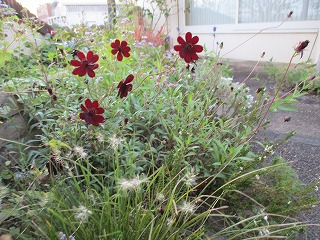 IMG_0643ss.jpg