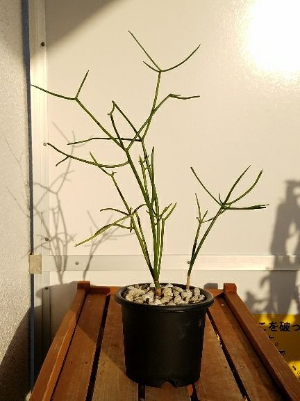 rblog-20180423144200-07.jpg