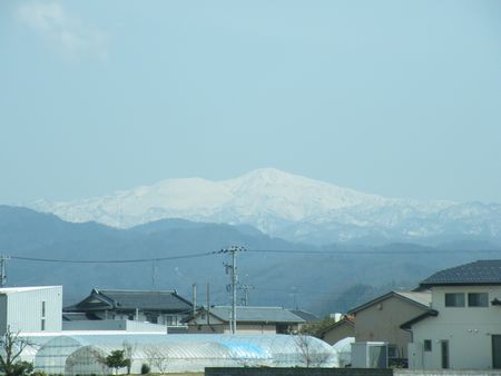 DSCF8068-450.jpg