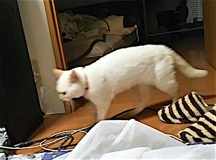 20160118215624_p.jpg