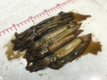 160508沖漬け