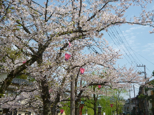 P1100100(1).JPG
