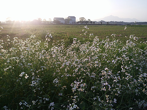 IMG_20160414_180344.jpg