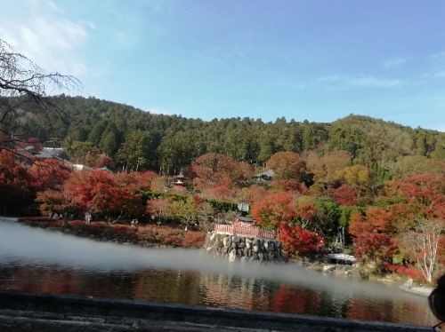 rblog-20181121230912-02.jpg