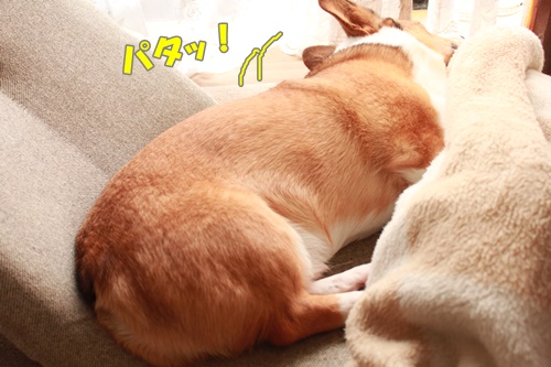 IMG012005.JPG