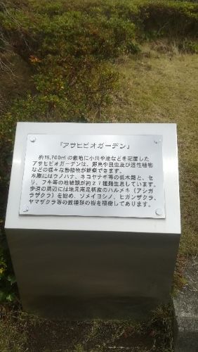 rblog-20181211231157-02.jpg