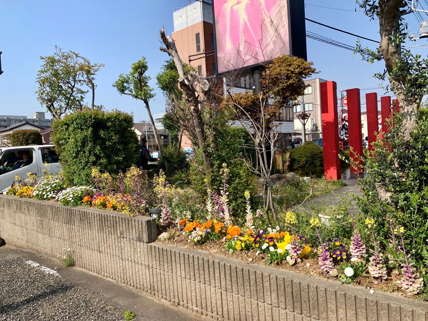 声楽の個人レッスンが終わってから 帰りがけに見かけた花の撮影 Music Land 私の庭の花たち 楽天ブログ