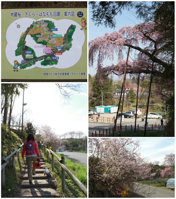 150419_44.jpg