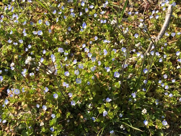 rblog-20170330085321-03.jpg