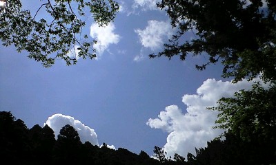 120730_1306~0001.jpg
