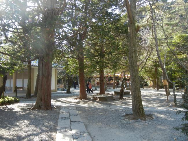 DSCN6731.JPG