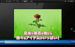 kobito05.jpg