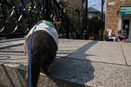 IMG_4037-26.jpg