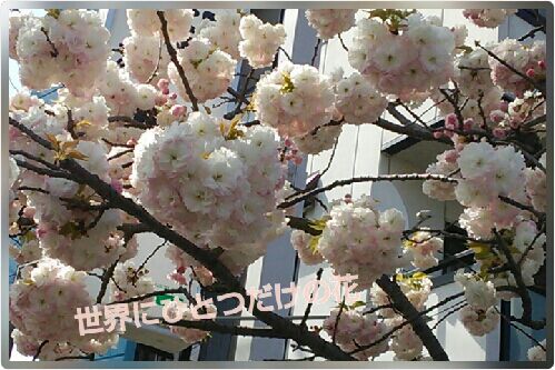 rblog-20160417104452-00.jpg