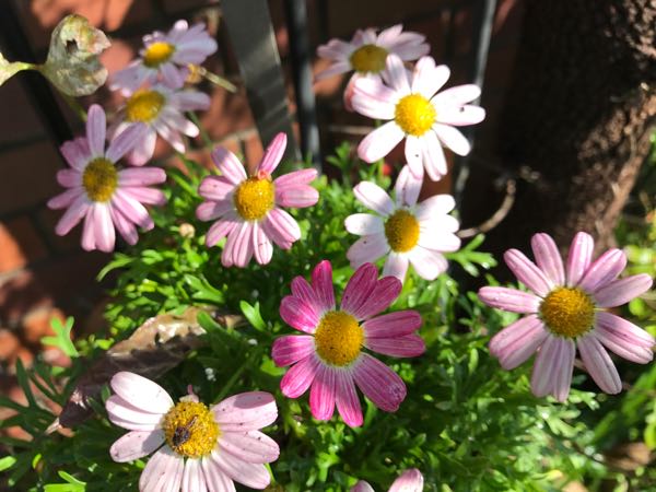 rblog-20171026185949-02.jpg