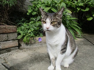 IMG_7986ss.jpg