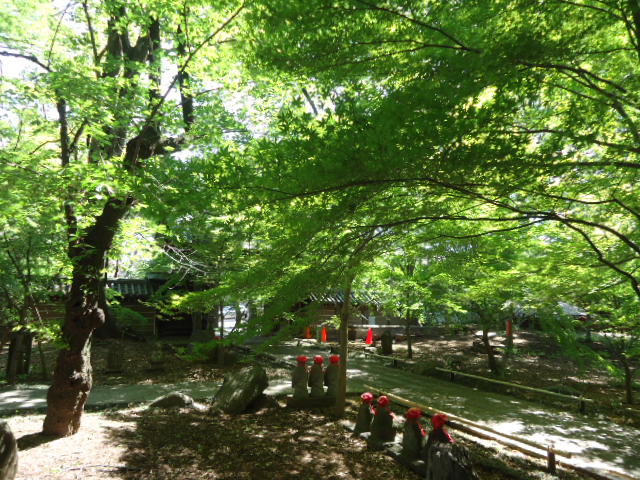 DSC00072.JPG