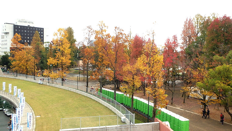 151108運動公園の紅葉３.jpg