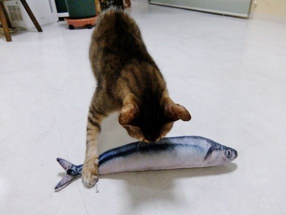 猫 ねこ おもちゃ 超リアル さんま けりぐるみ 蹴り