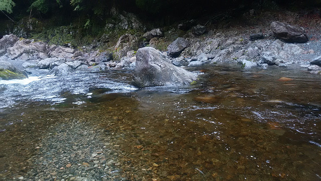 resize0009.jpg