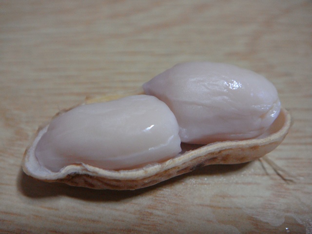 DSC07298_R.JPG