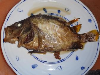 魚２.JPG