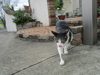IMG_9568ss.jpg