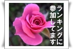 Rose4.jpg