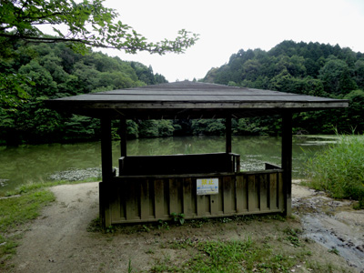 DSC01380-.jpg