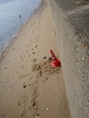 衣浦湾（きぬうらわん）堤防