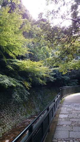 rblog-20141023222224-01.jpg