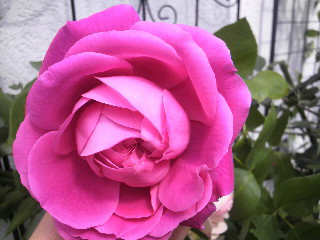 2012-04-20 10:17:53