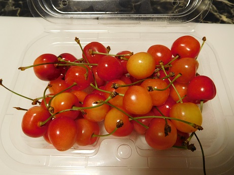 DSCN1479.JPG