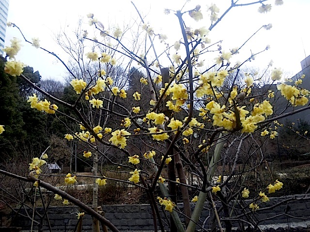 120215_131647.jpg
