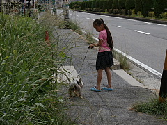 conv0711.JPG