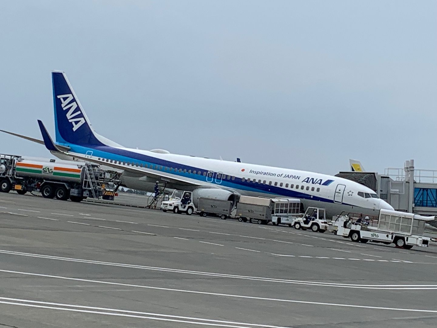 空港 リラックマな暮らし 楽天ブログ