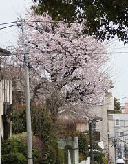 IMG_8112-1.jpg