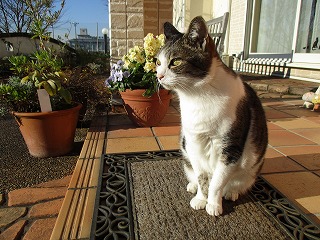IMG_4805ss.jpg